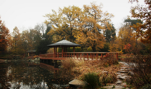波兰弗罗茨瓦夫美丽的秋季公园