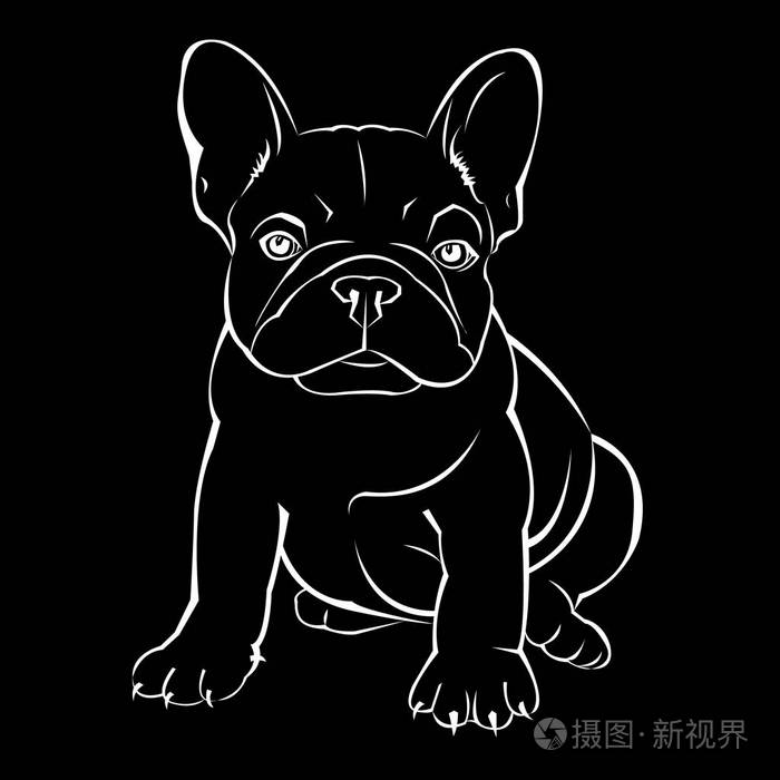 狗矢量品种可爱的宠物动物斗牛犬法国