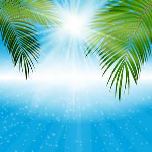 棕榈叶矢量背景图