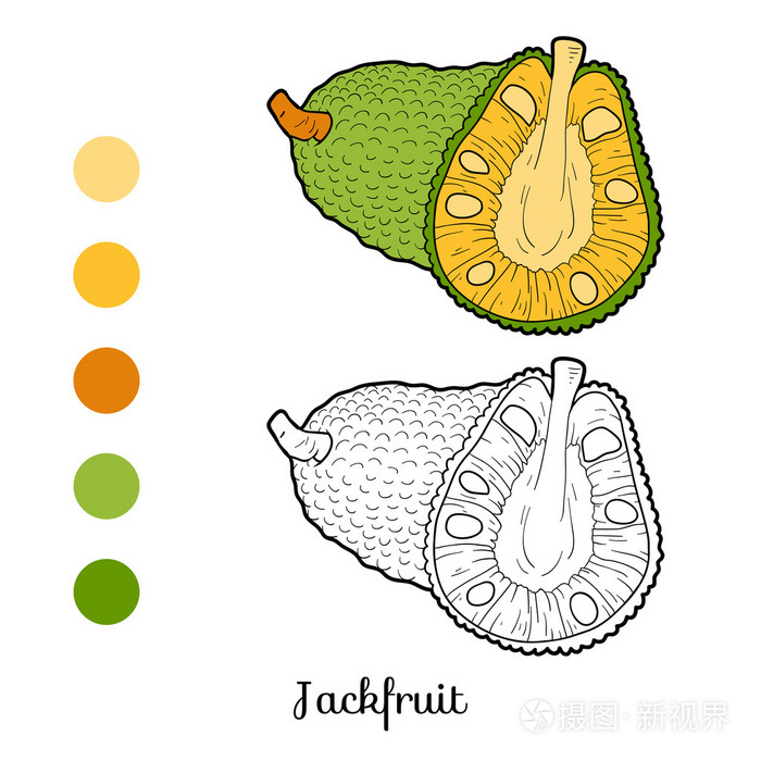 儿童着色书:水果和蔬菜(菠萝蜜)插画-正版商用图片0nbrzg-摄图新视界