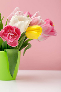 粉红色背景的春天郁金香绿色花瓶
