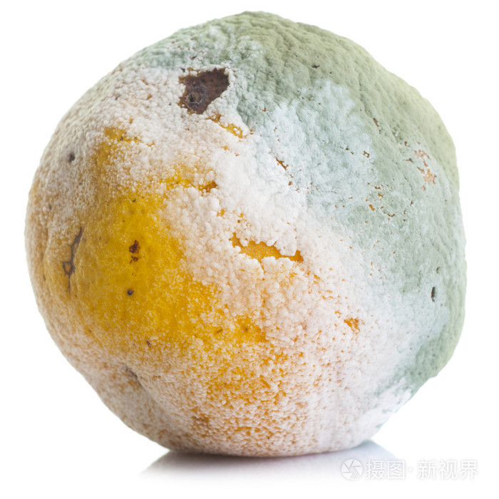 发霉的柑橘类水果