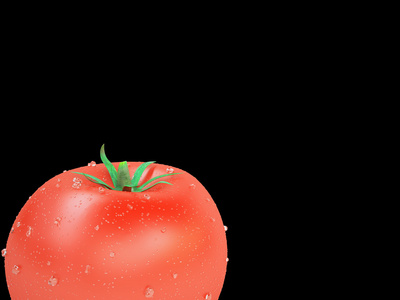 红色多汁的番茄的露珠 9