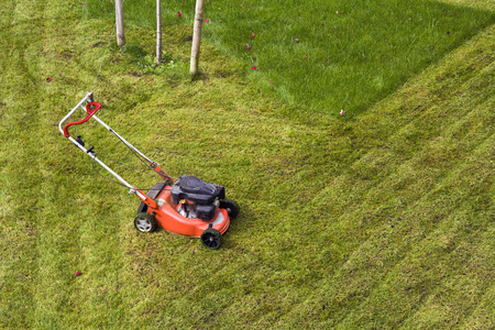 草坪割草机在院子里的绿地里割青草。修剪园丁护理工作工具
