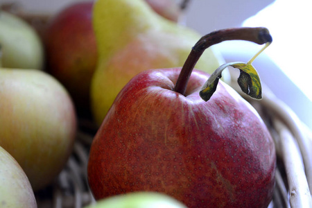 梨在篮子里。秋季水果