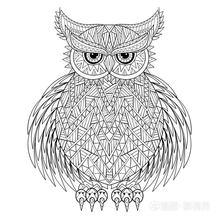 手绘zentangle 猫头鹰,鸟图腾中成人着色页
