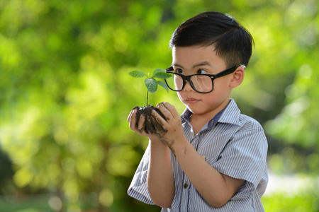 孩子用的良好环境的希望手里拿着年轻的植物