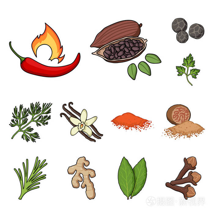 不同种类的调味料矢量符号库存 web 插图插画-正版商用图片0ne74s-摄