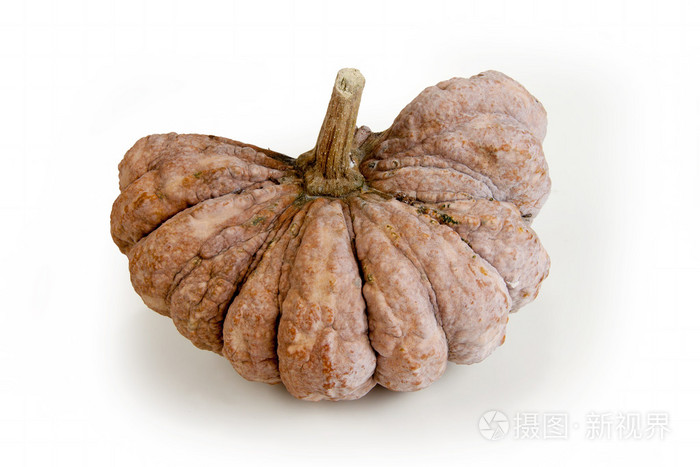 解剖在长期南瓜