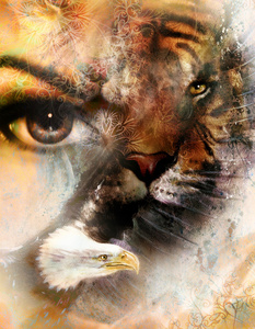 鹰和虎的脸和女人的眼