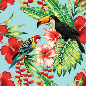 热带鸟和花无缝背景