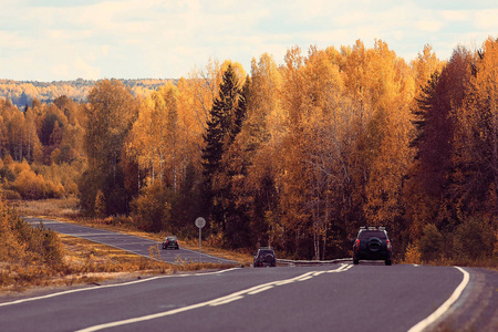公路的秋景