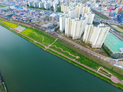 Yuchae 油菜花开花在 Yangsancheon, 梁山, 韩国, 亚洲