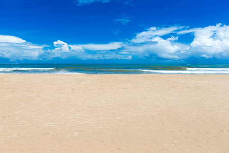 海滩和热带海