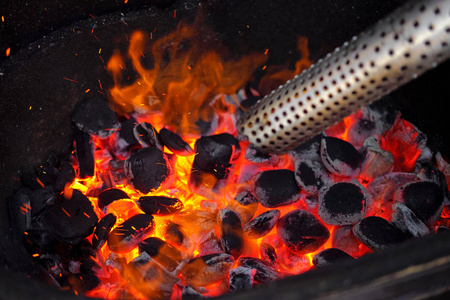 温暖的壁炉旁，有许多树准备烧烤