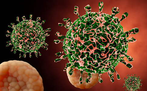 病毒。Bacteria.Viruses 在被传染的有机体，病毒性疾病流行。3d 渲染