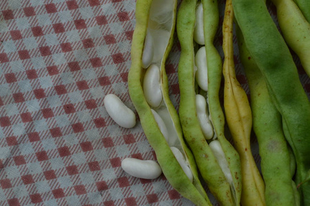 豆。帕西奥卢斯豆籽。豆类。厨房。食谱。在烹饪之前。美味。它是有用的。特写。水平
