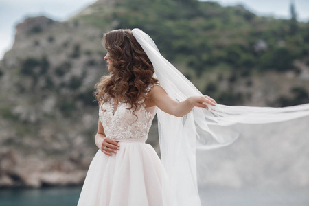 美丽的新娘站在悬崖之上的海在一个迷人的白色婚纱礼服的面纱的看法。浪漫美丽的新娘穿着白色礼服摆在背景海。快乐的新娘穿着豪华礼服在海