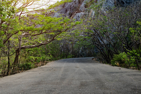 山的道路