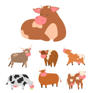 多头奶牛农场动物特征矢量插图牛哺乳动物自然野生牛肉农业