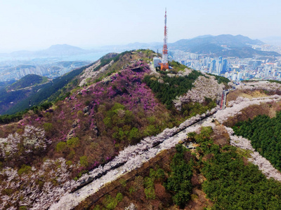 Hwangryeonsan 山樱花泉, 釜山, 韩国, 亚洲