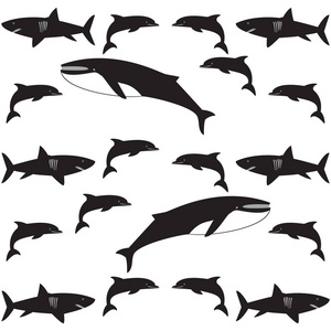 水下模式海豚鲨鱼鲸鱼黑色图片