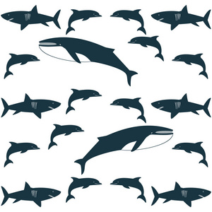 水下模式海豚鲨鱼鲸鱼图片