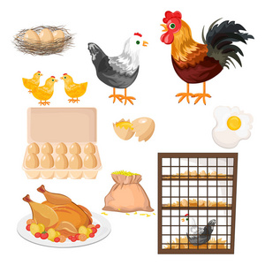生态农业。公鸡, 鸡和蛋模式向量