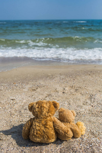 3可爱的棕色泰迪熊坐在热带海滩上