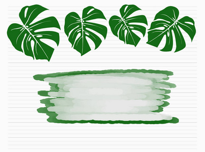 热带棕榈叶在白色背景下分离。矢量 illus