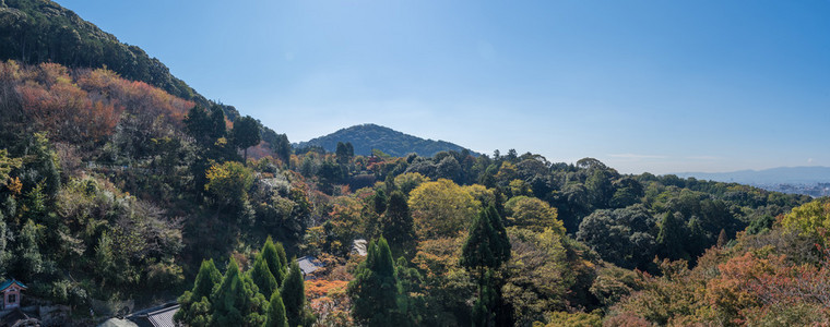 从清水寺的视图