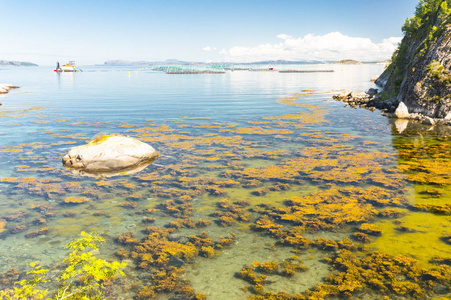 在夏天的挪威峡湾。挪威五彩湾海岸