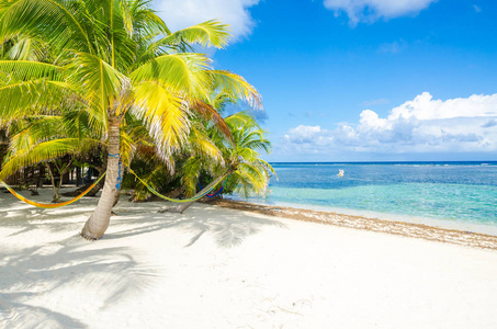 伯利兹莱凯小热带海岛在障碍礁与天堂海滩, 加勒比海, 伯利兹, 中美洲