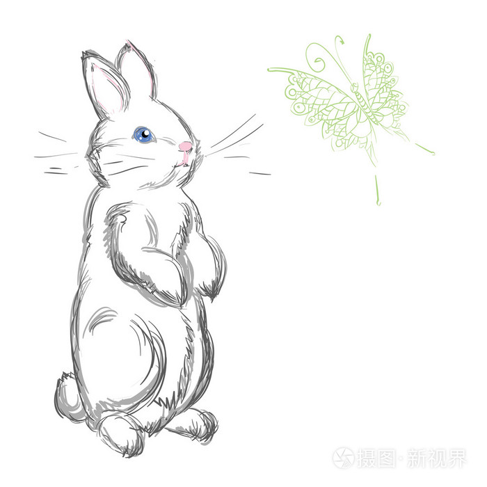 可爱的素描兔子