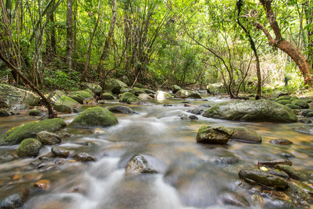 河深藏在山雨林