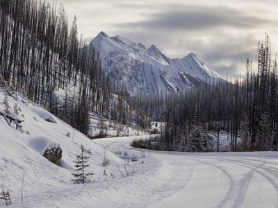 积雪覆盖的道路通向山脉, Maligne 湖, 贾斯珀, 贾斯珀国家公园, 加拿大艾伯塔省