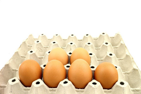 白色背景下的托盘上的鸡蛋