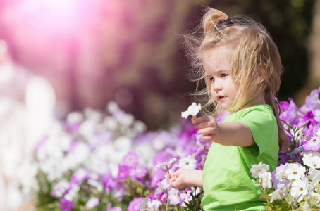 可爱的开心宝贝男孩玩在花坛与盛开的花朵