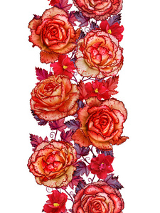 垂直的花卉边框。无缝模式。加兰的明亮美丽的橙色玫瑰，红色的叶和花。白色背景上孤立