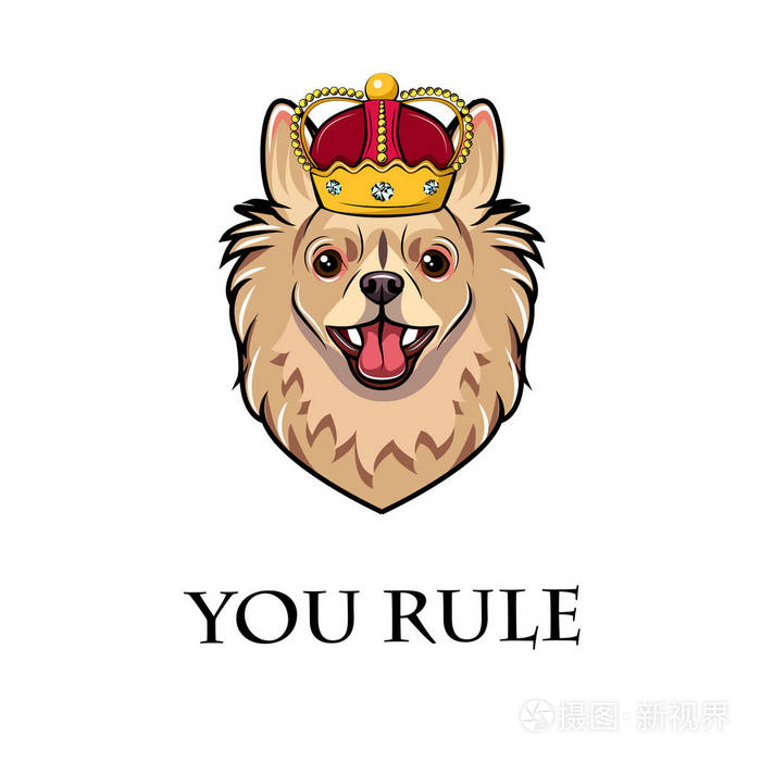 吉娃娃戴皇冠的狗狗王矢量插图