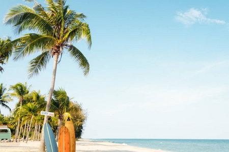 夏季热带海滩椰树景观。海滩标志为冲浪区域。复古效果彩色滤镜
