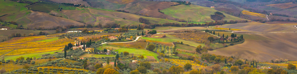 充满活力托斯卡纳全景的秋景与房屋 字段 柏树 葡萄园