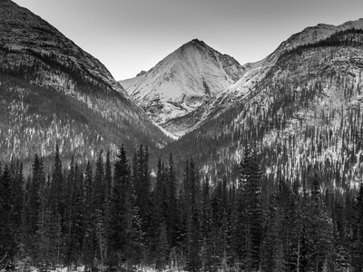 风景树与白雪皑皑山在背景, 阿拉斯加高速公路, 北落基山脉地方自治市, 不列颠哥伦比亚省, 加拿大