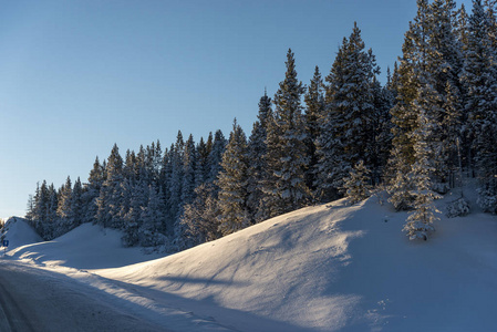 沿雪覆盖的道路, 阿拉斯加公路, 不列颠哥伦比亚省, 加拿大的树木