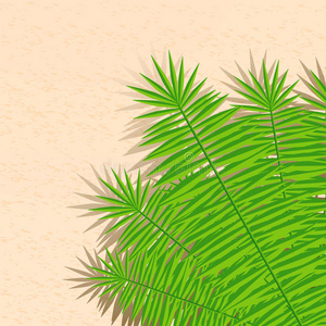 夏季海滩和棕榈叶插画