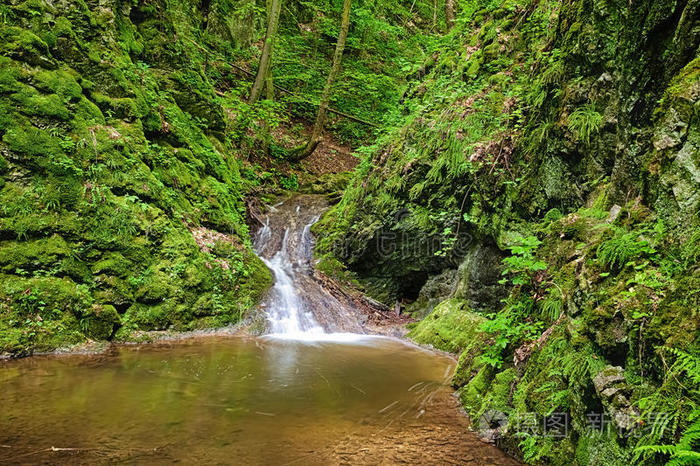 森林中的河流w瀑布hdr