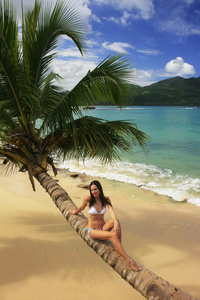 穿着比基尼的年轻女子坐在仁康海滩靠在棕榈树上