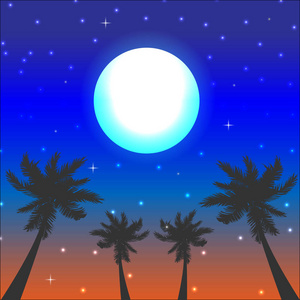 夏天的夜晚棕榈树