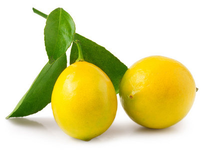 两个柠檬叶