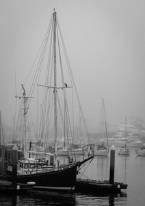 停靠在雾港的帆船在圣迭戈加州黑色和白色